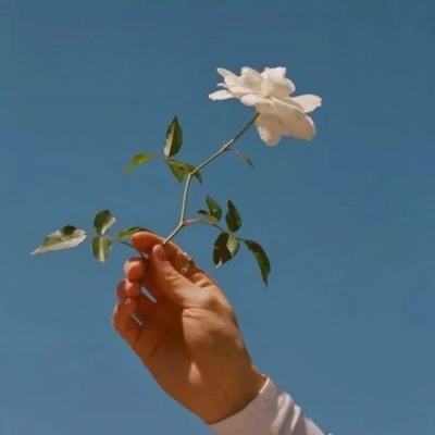 纸上帝国小游戏下载