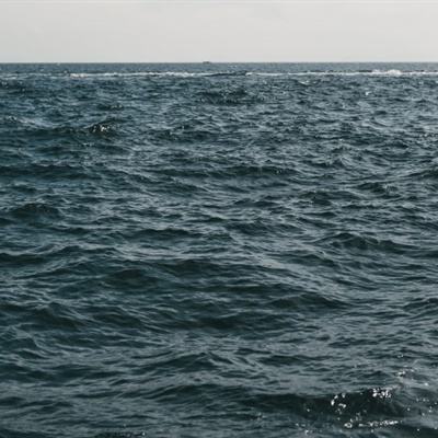 海岛探险乐园游戏下载